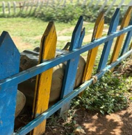 Swollen wooden board due to moisture